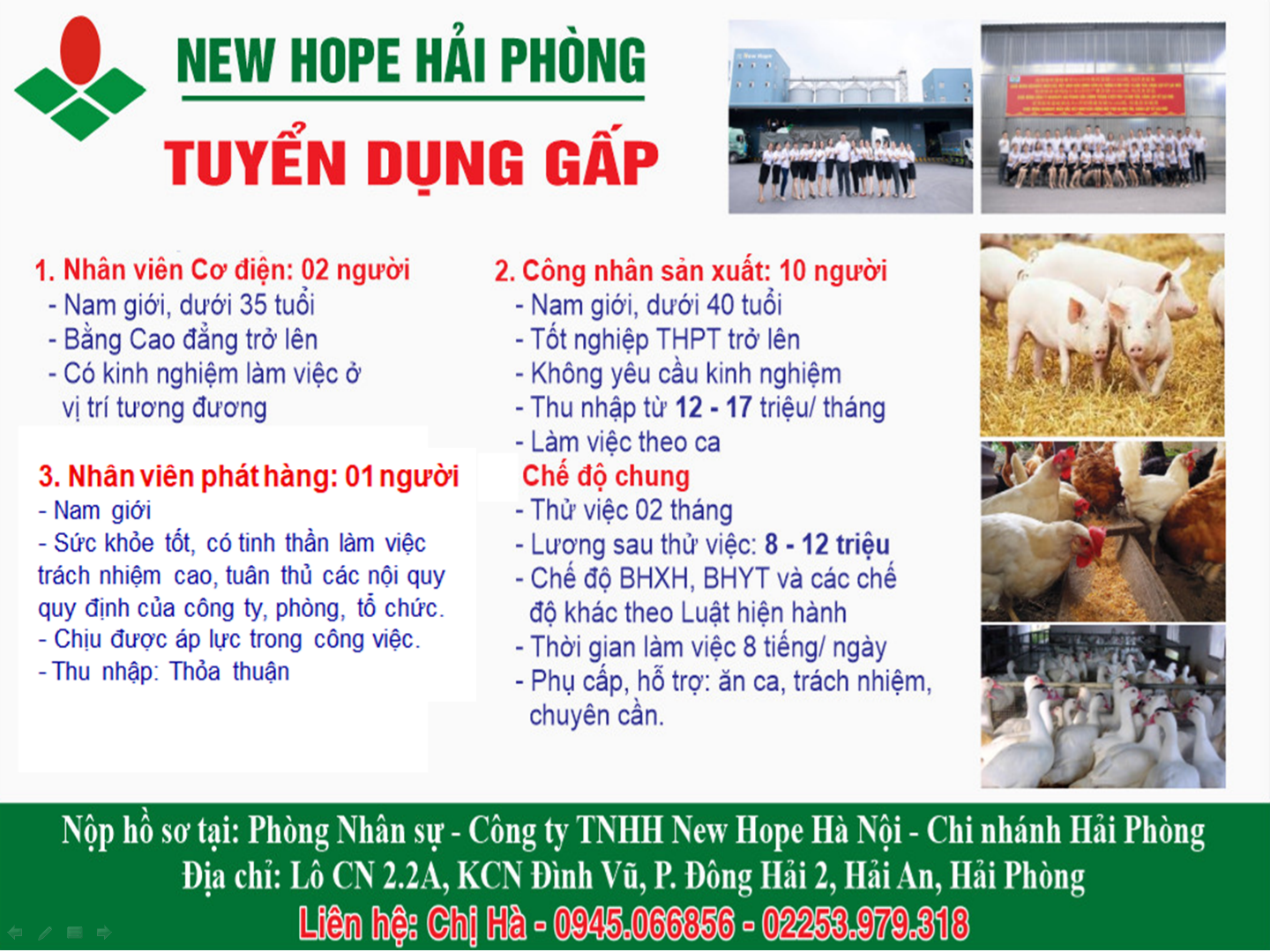 Newhope (Mới).png