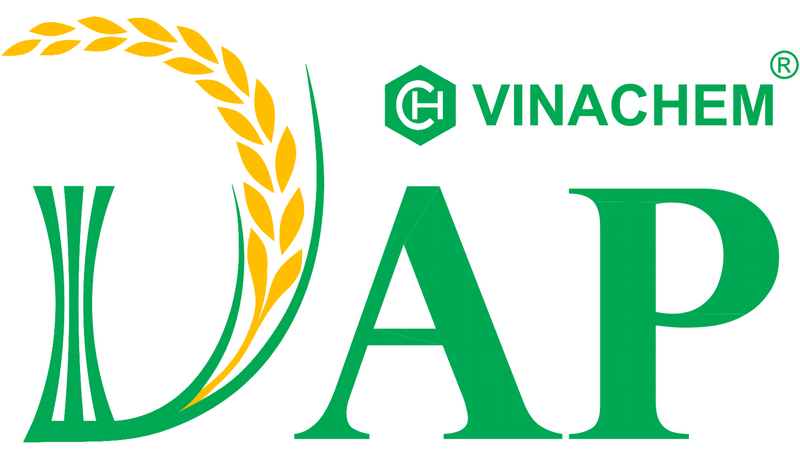 CÔNG TY CỔ PHẦN DAP - VINACHEM