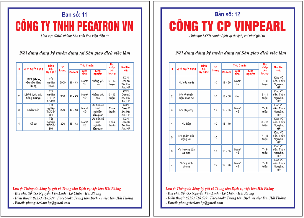 6.Pegatron + Vinpearl.png